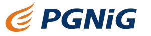 logo-pgning